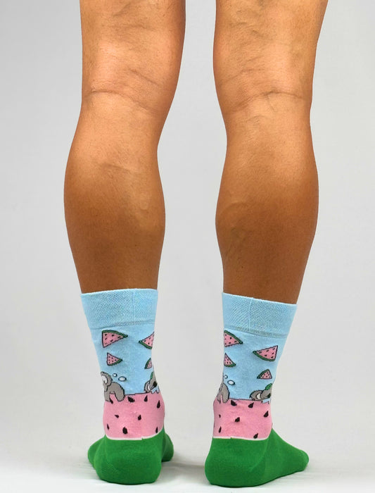 Koala's Sweet Summer Treat