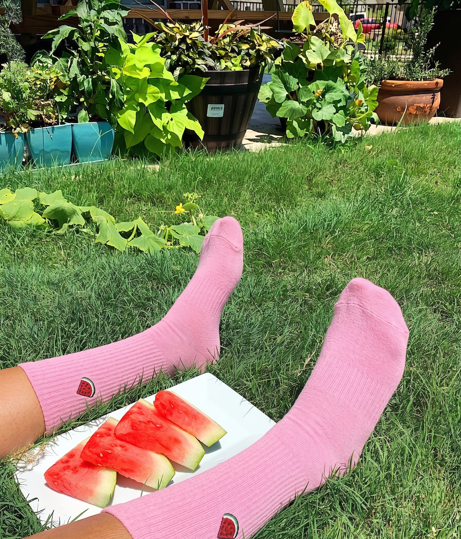 Watermelon Bold